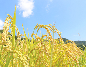 エース物流株式会社